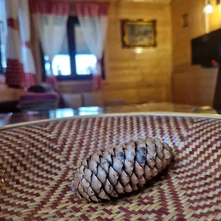 Brvnara Rajkova Koliba - Std Bojovici Zlatar Nova Varoš