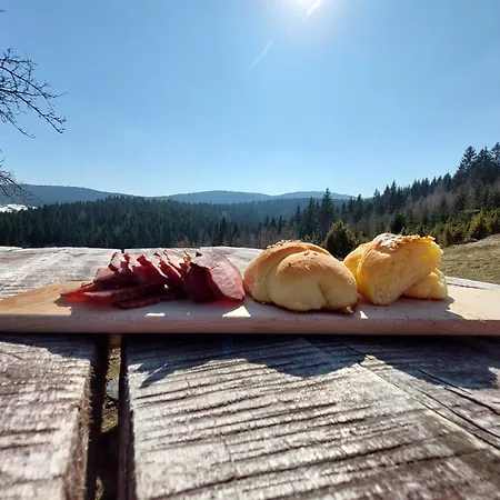 Brvnara Rajkova Koliba - Std Bojovici Zlatar * Nova Varoš