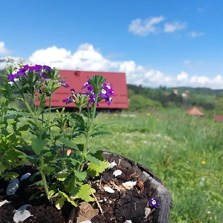 Chaletu Brvnara Rajkova Koliba - Std Bojovici Zlatar