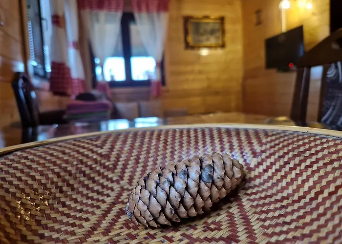 Brvnara Rajkova Koliba - Std Bojovici Zlatar Nova Varoš