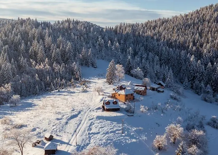 Brvnara Rajkova Koliba - Std Bojovici Zlatar Nova Varoš