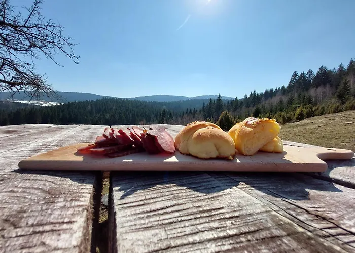 Brvnara Rajkova Koliba - Std Bojovici Zlatar * Nova Varoš