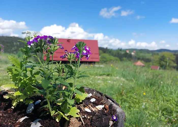 Chaletu Brvnara Rajkova Koliba - Std Bojovici Zlatar